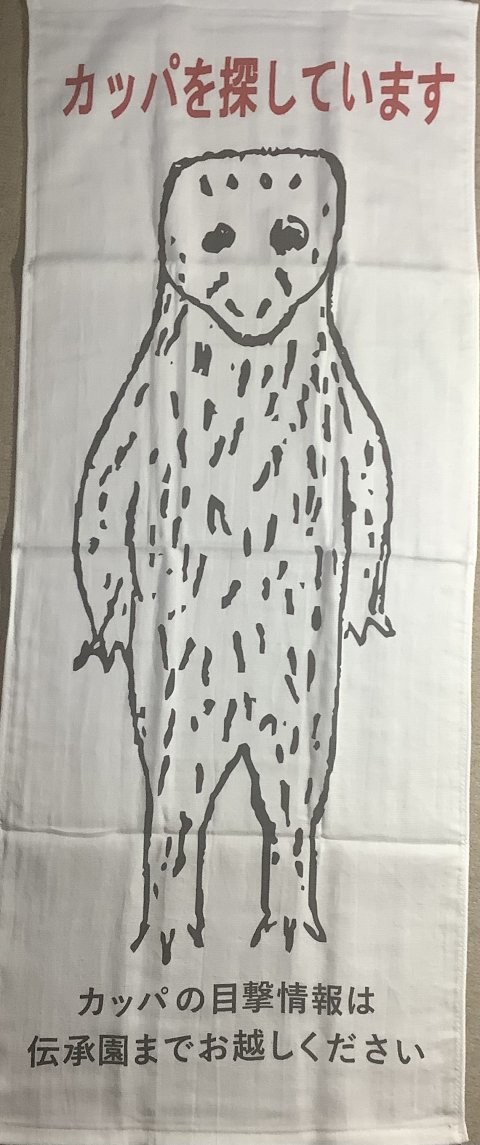 こんなか感じのかっぱさんです。