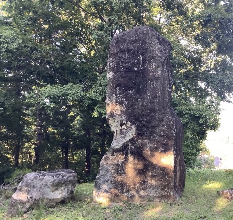 「天の夕顔の主人公誓ってこの地に庵を結んで幻住す」 山の村にある「天の夕顔」の文学碑  昭和49年9月25日除幕式