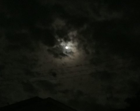 目と口を持った鼻が月の名月 23時過ぎの月